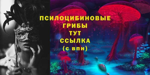 ГАЛЛЮЦИНОГЕННЫЕ ГРИБЫ Абинск