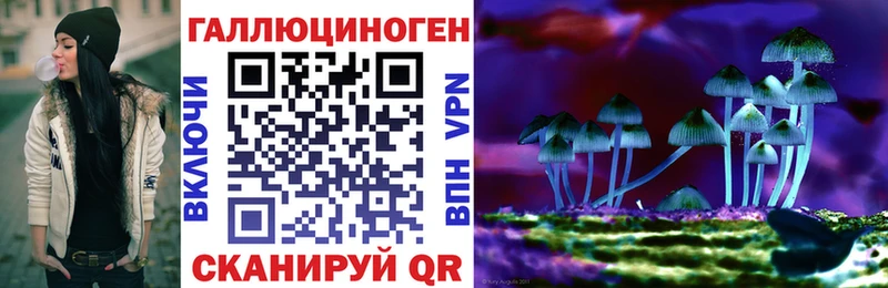 Псилоцибиновые грибы Cubensis  даркнет сайт  Ишимбай 