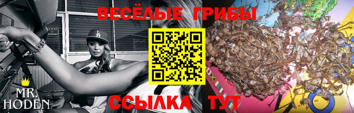 Галлюциногенные грибы Magic Shrooms Ишимбай