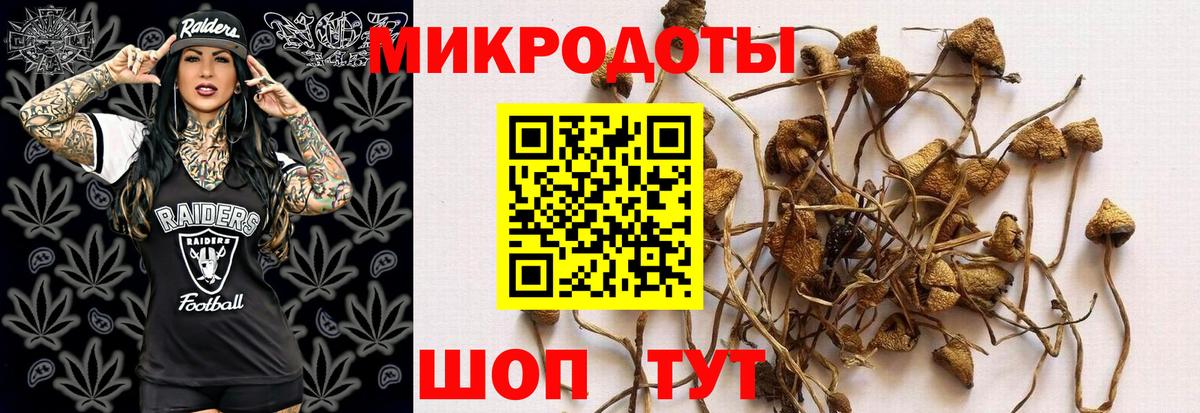 Ишимбай  Псилоцибиновые грибы ЛСД  Вход с VPN  Псилоцибиновые грибы MAGIC MUSHROOMS 